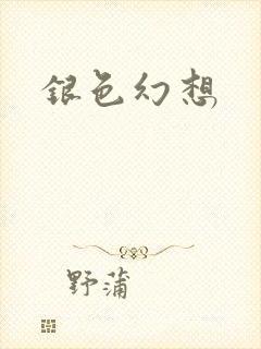 银色幻想封面