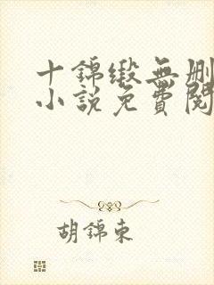 十锦缎无删原著小说免费阅读