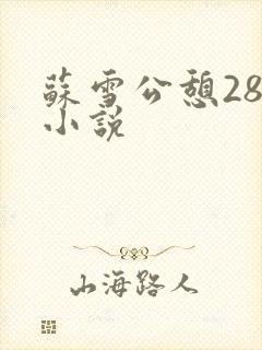 苏雪公憩28篇小说