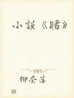 小说《赌》