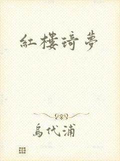 红楼琦梦