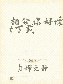 相公你好坏txt下载