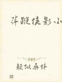 萍踪侠影小说