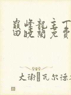 巅峰龙主丁长顺田晓兰免费阅读封面