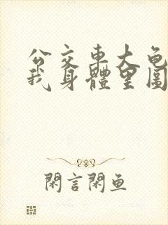 公交车大龟廷进我身体里图封面