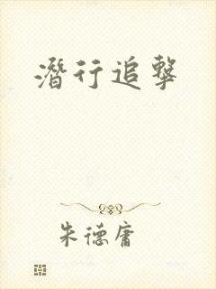 潜行追击