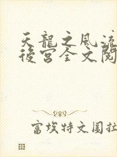 天龙之风流猎艳后宫全文阅读