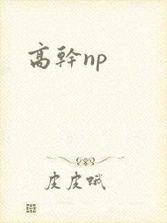 高干np封面
