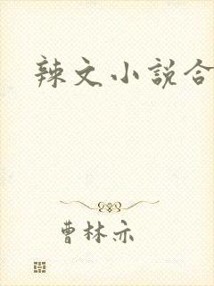 辣文小说合集