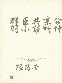 群臣共享公主银羽小说叫什么