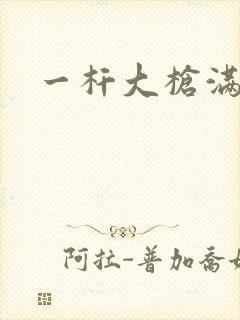 一杆大枪满屋扫封面