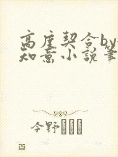 高度契合by洛知意小说笔趣阁无弹窗封面