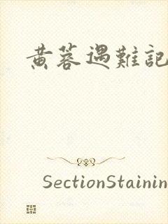 黄蓉遇难记封面