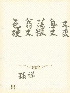 色翁荡息又大又硬又粗又爽电影