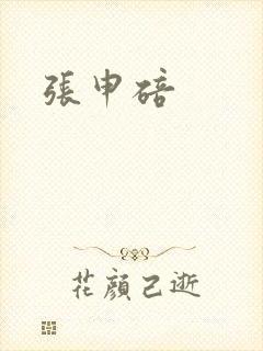 张申碚