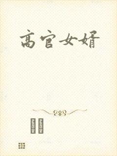 高官女婿