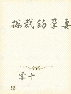 总裁的孕妻