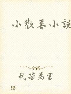 小欢喜小说