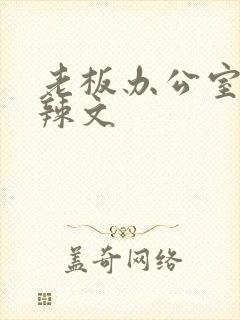 老板办公室系列辣文