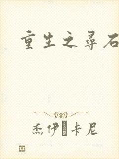 重生之寻石者