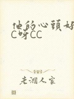 他的心头好 CC呀CC封面