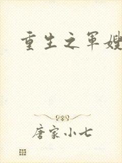 重生之军嫂封面