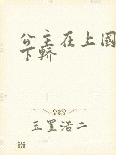 公主在上国师请下轿封面