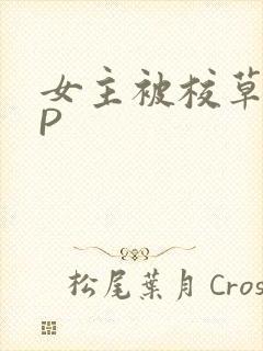 女主被校草们NP