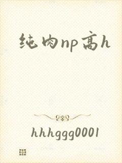 纯肉np高h封面