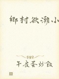 乡村欲潮小说