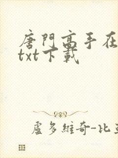 唐门高手在异世txt下载封面