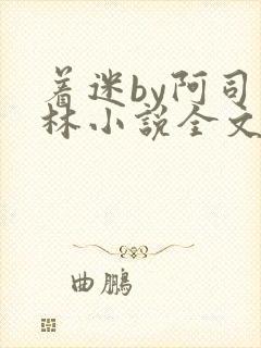 着迷by阿司匹林小说全文免费阅读无广告