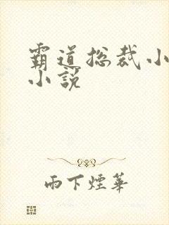 霸道总裁小娇妻小说