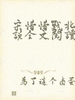 宋惜惜战北望小说全文阅读