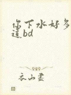 你下水好多下水道bd封面
