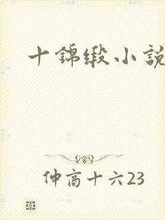 十锦缎小说