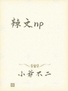 辣文np