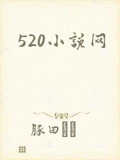 520小说网封面