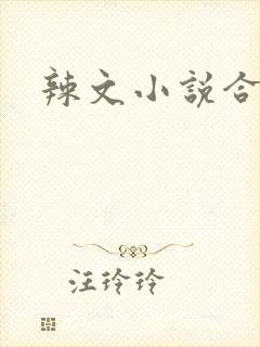 辣文小说合集封面