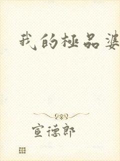 我的极品婆婆