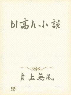bl高h小说