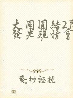 大团圆结2闪闪发光亲情会