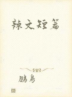 辣文短篇