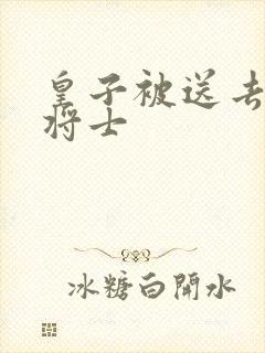 皇子被送去犒劳将士