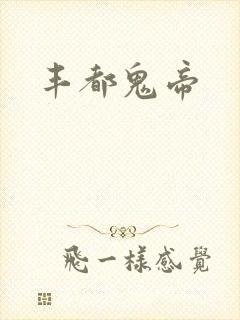丰都鬼帝封面