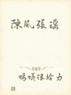 陈风张瑶