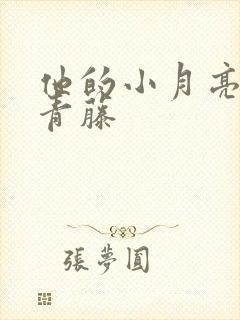 他的小月亮by青藤