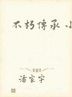 不朽传承 小说
