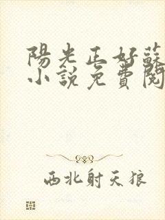 阳光正好苏玥玥小说免费阅读