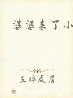 婆婆来了小说